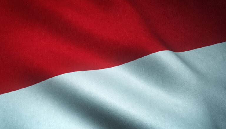 Closeup shot of the waving flag of Monaco with interesting textures